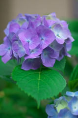 IMGP2344