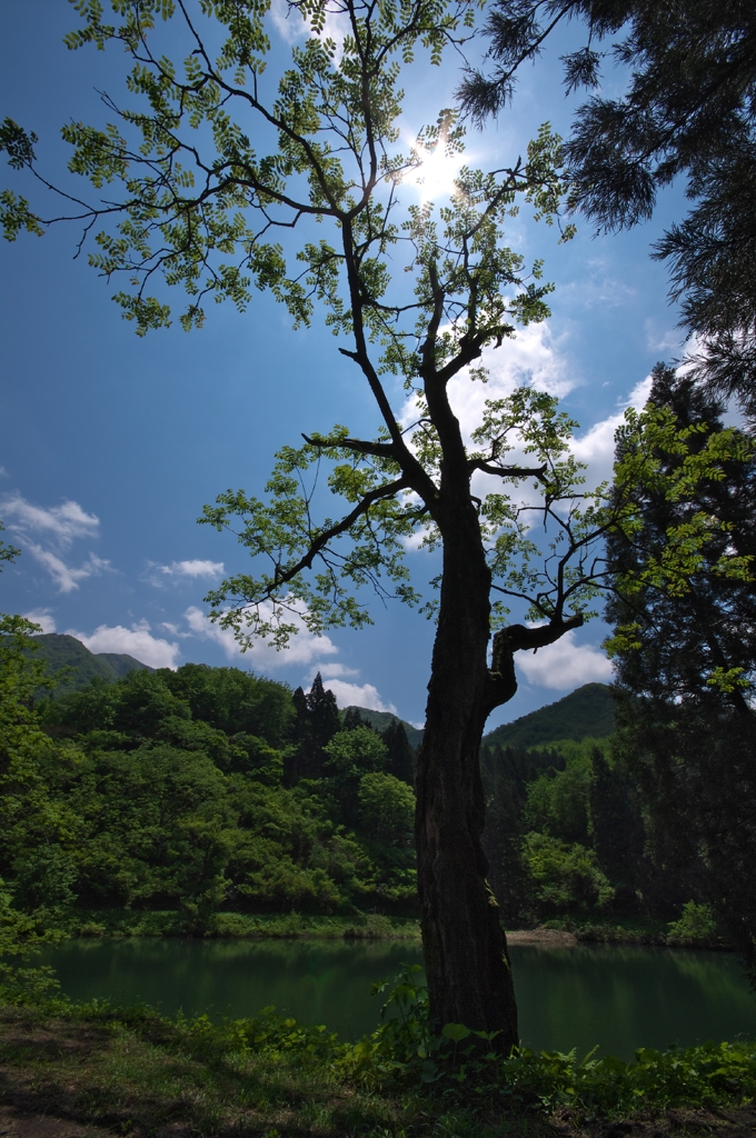 IMGP3707(R)