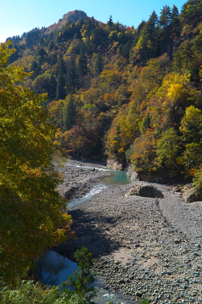 IMGP2601_compressed