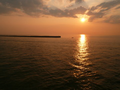 2011.6佐渡 053