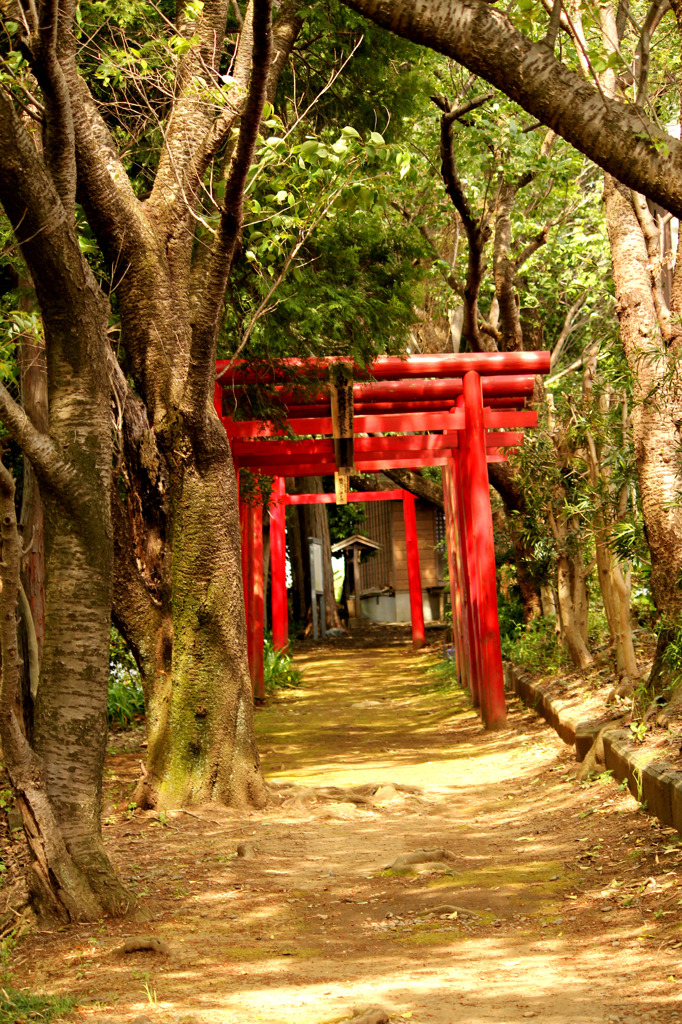 神社へ