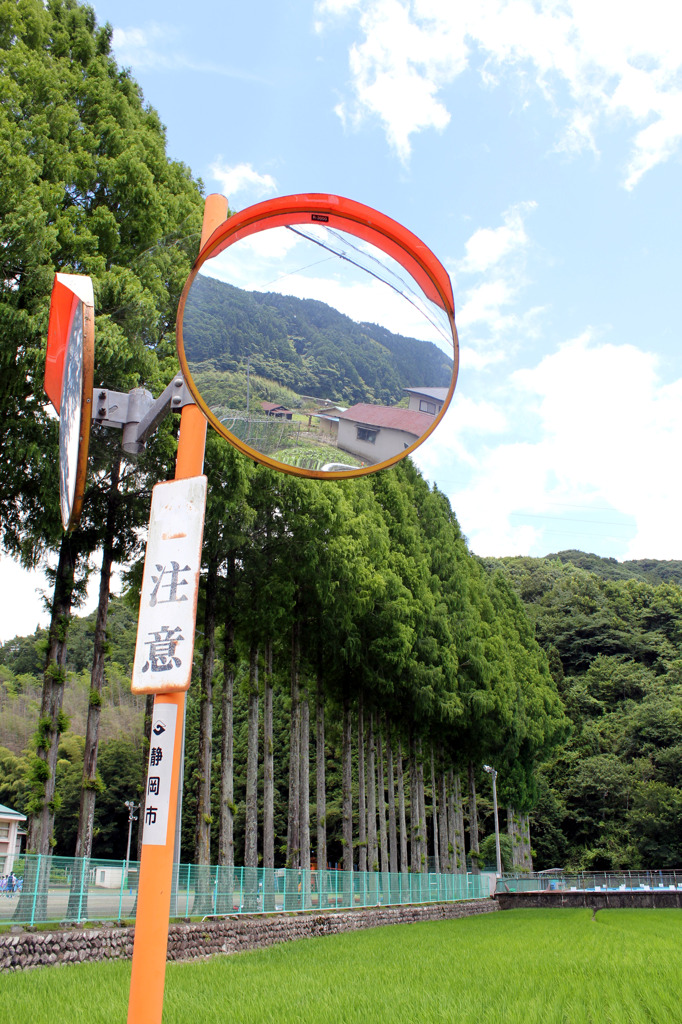 静岡市