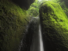 シガワラの滝