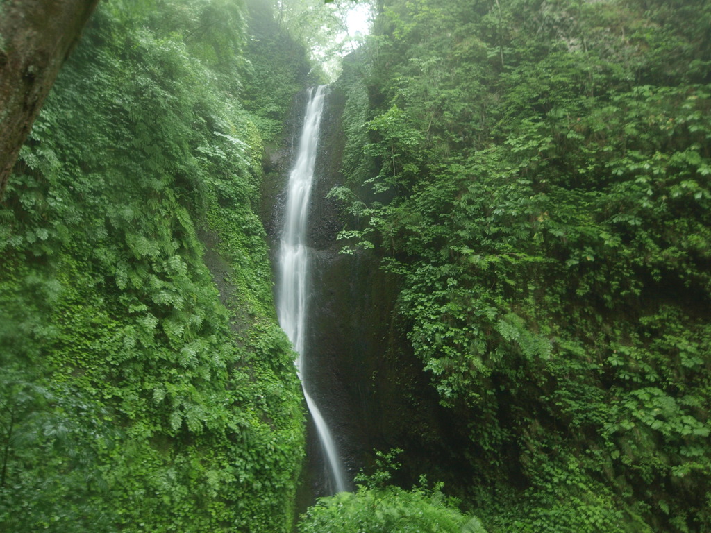 桂の滝