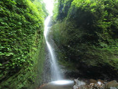 桂の滝