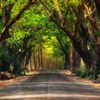 Fairy tale road