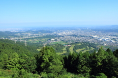 神奈川県&海