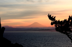 夕方の富士山