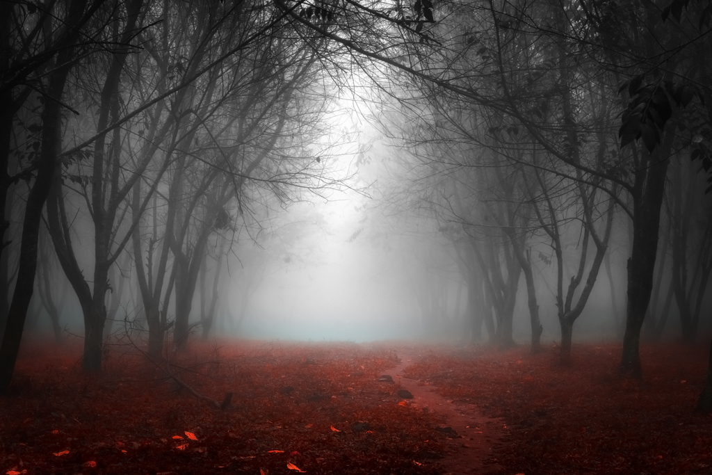 Fairy tale