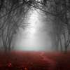 Fairy tale