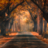 Fairytale in fall