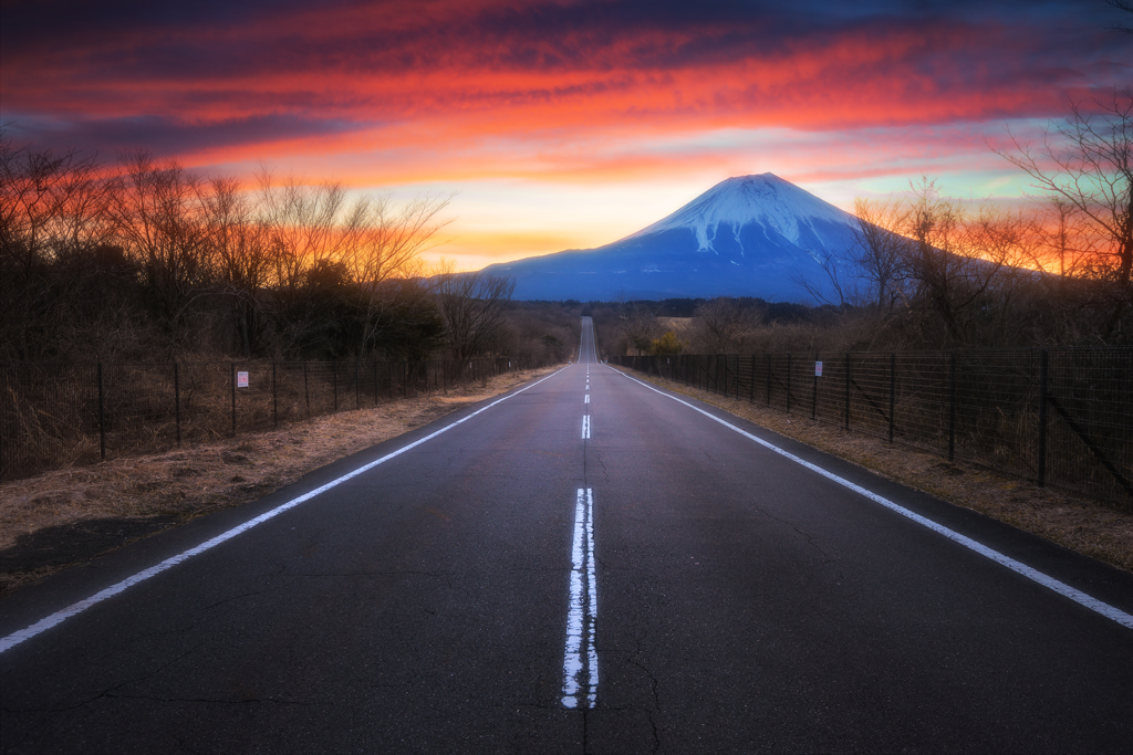 the long road into nature