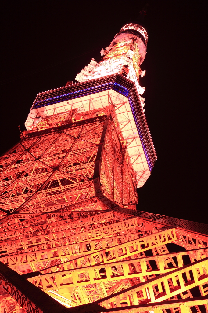 Midnight of Tokyo Tower
