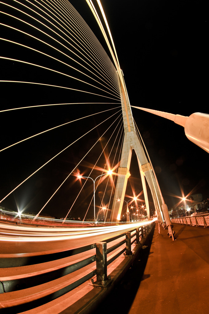 Rama VIII Bridge