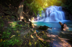 Deep forest waterfall in Thailand
