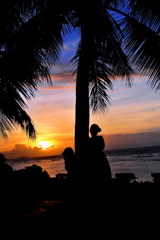 sunset with palm tree