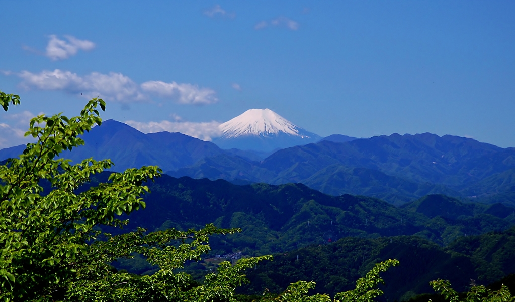 高尾からの眺め