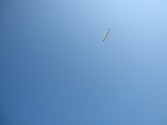 空、自由