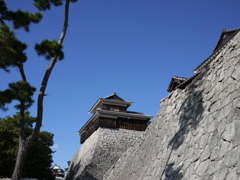 P1000689