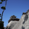 P1000689