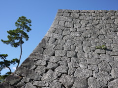 感嘆な角度