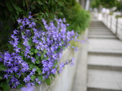 P1000335