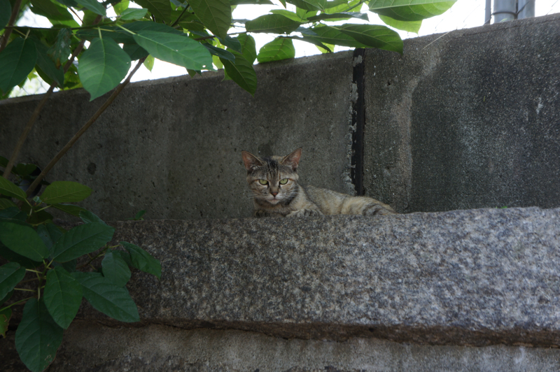 DSC00019