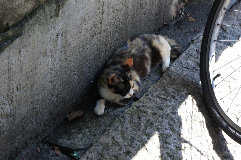 DSC00016