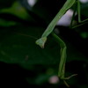 君の瞳はとても冷たく
