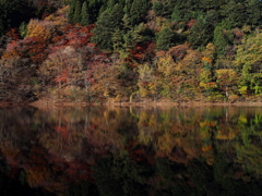 Autumn panorama　#1
