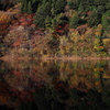 Autumn panorama　#1
