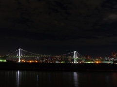 Bay Night