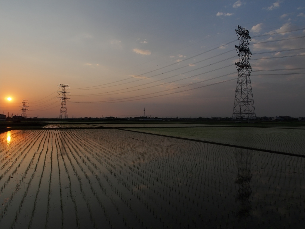 夕暮れと人造ライン