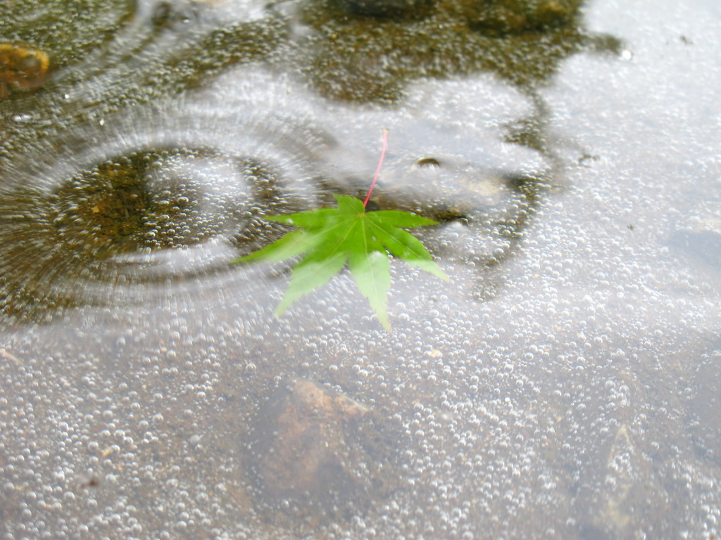 沈む