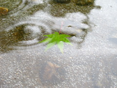 沈む