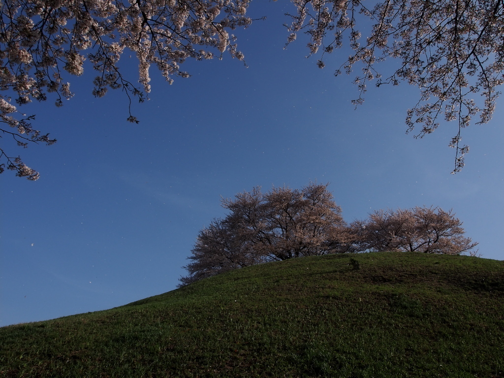 風になる時