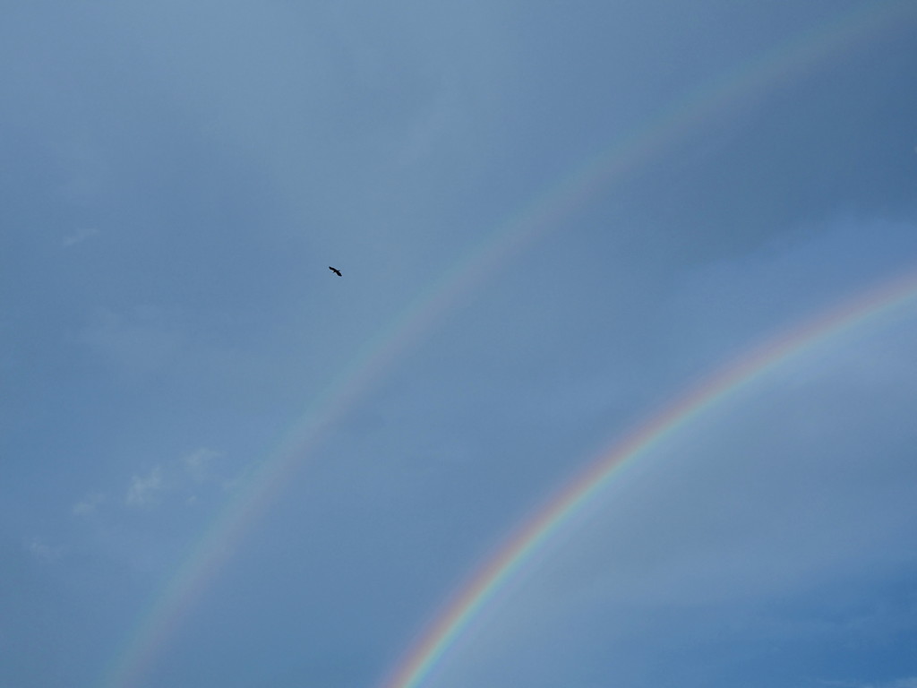 彩空