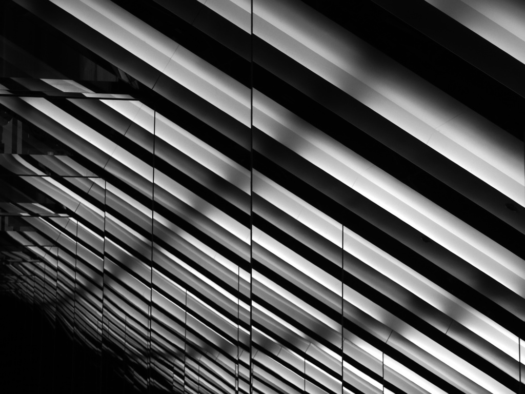 To darkness