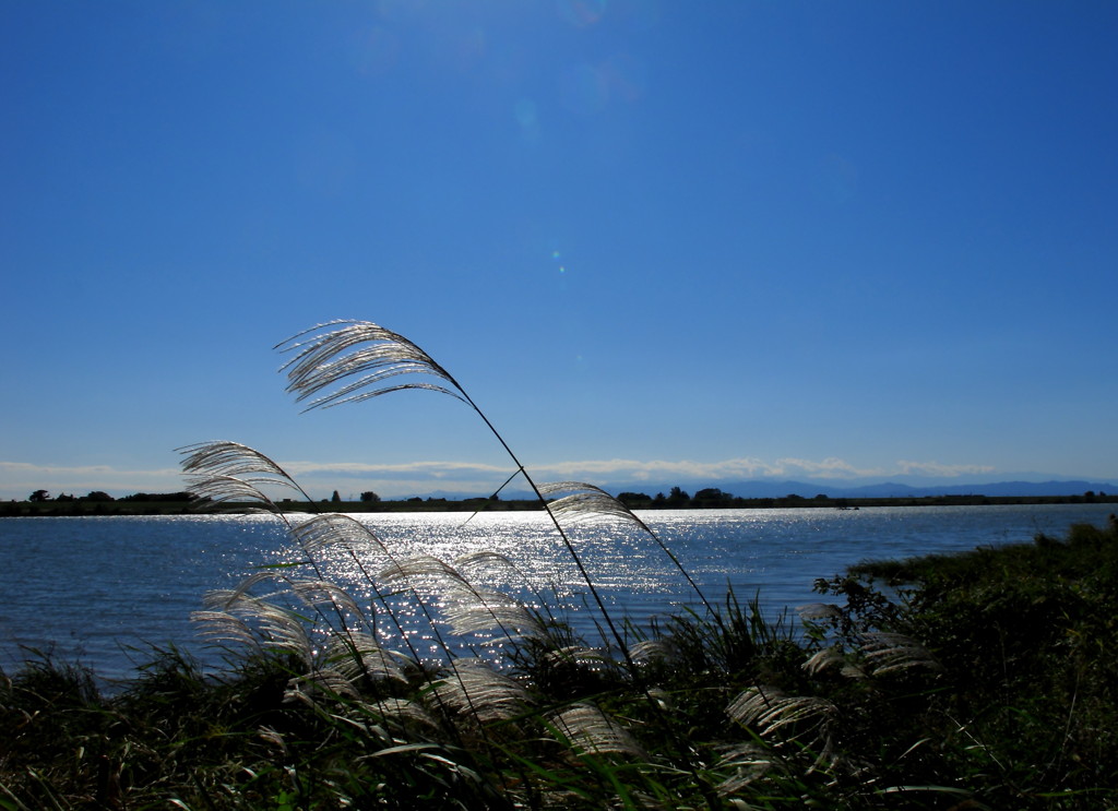 秋の輝きの中で☆