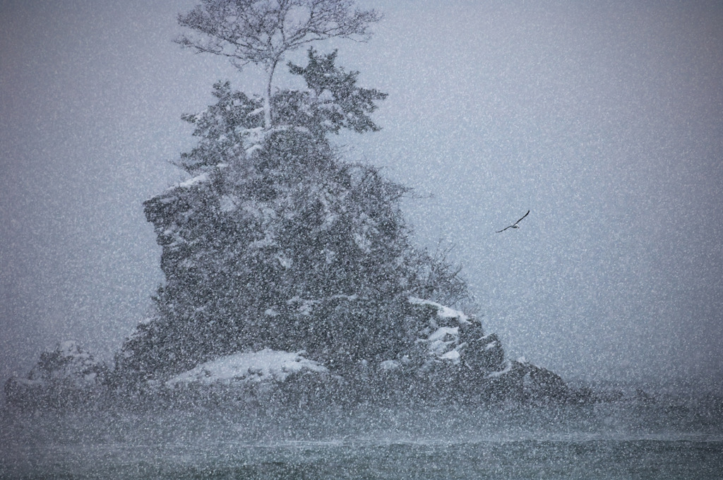 2010 01 01 猛雪の女岩