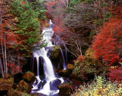 2010　奥日光の彩