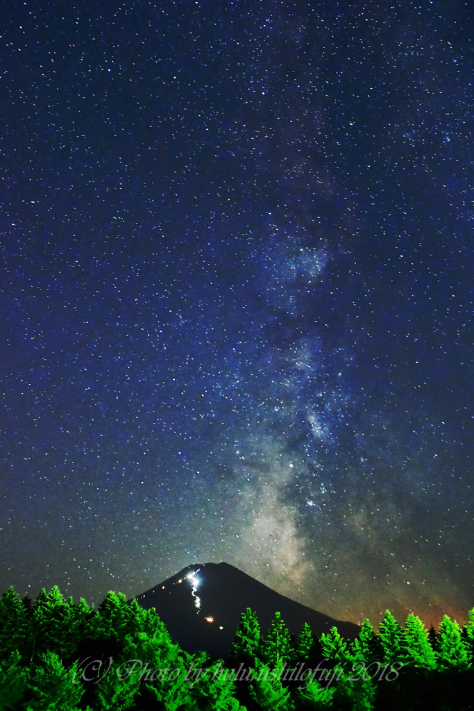 熱帯夜景