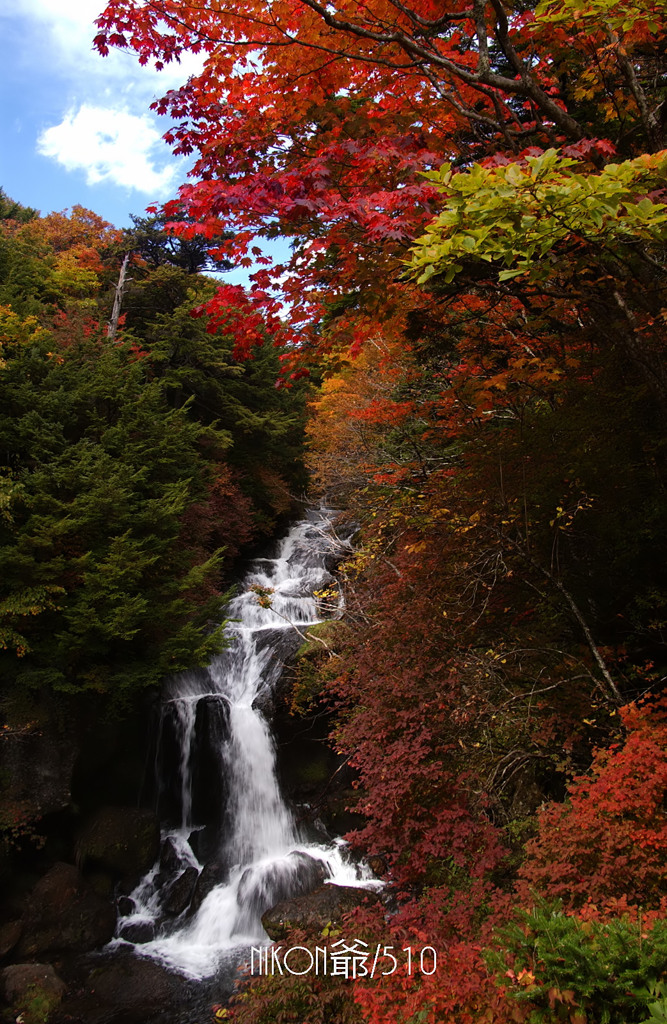 竜頭の滝2015