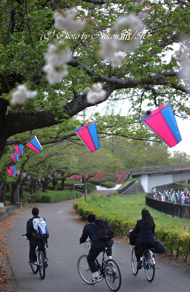 爽やか通学