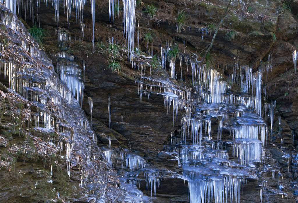  秩父氷柱 ２
