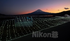 2014 01 01 大石イルミ　D3x (90)R@SS