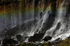 虹む滝