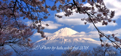 あの日の富士山