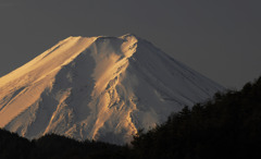 2011初雁ＳＡから/記念撮影