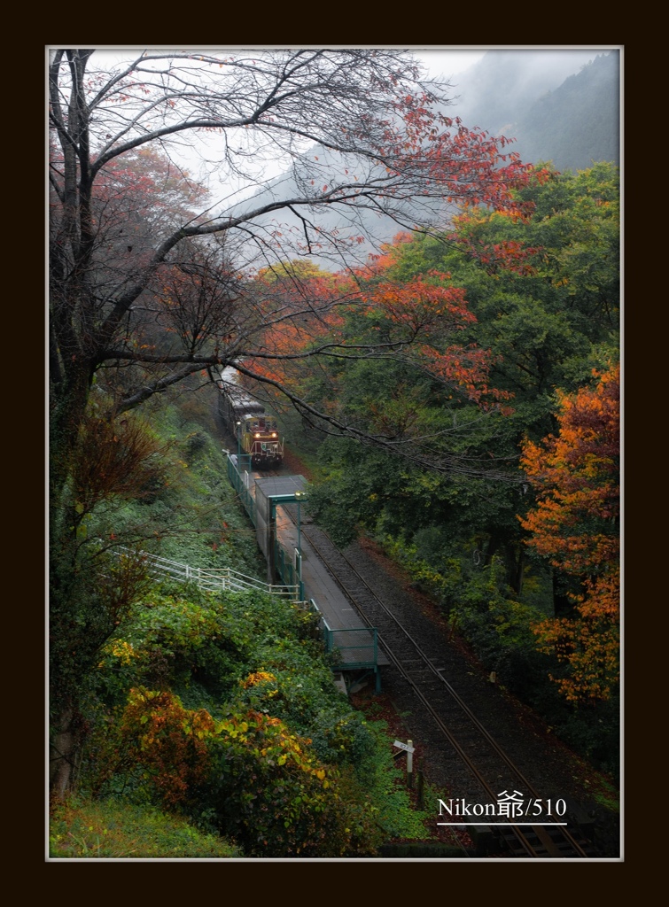 雨の無人駅